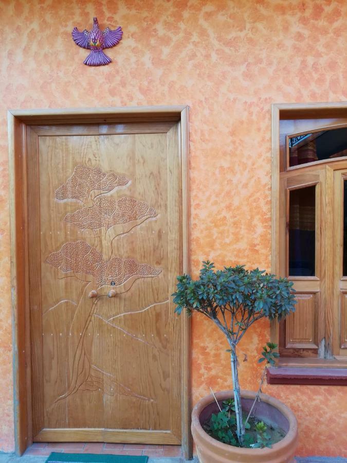 Teocalli Teotitlan del Valle Room photo